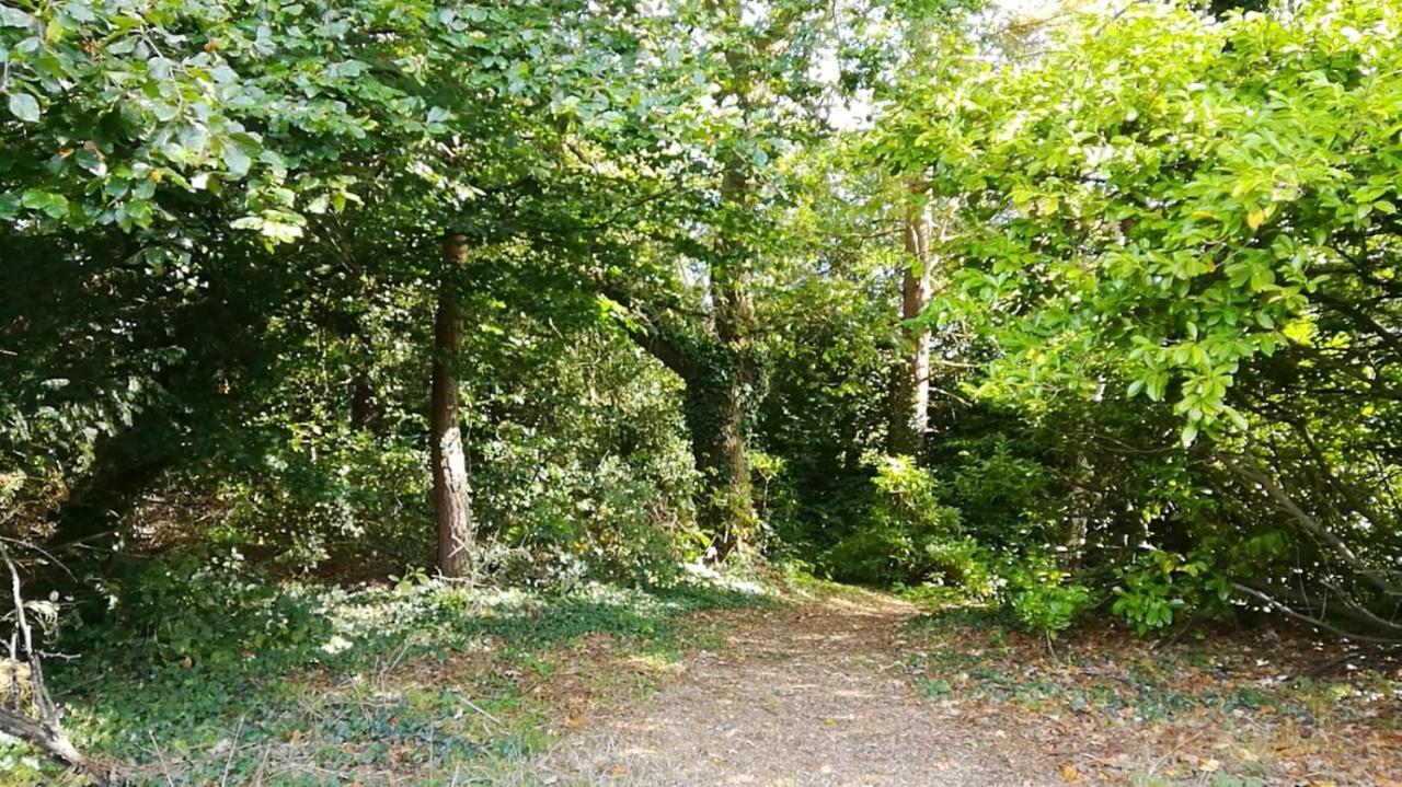 Many Worlds Meet - Eurostar, Wimbledon 30 Mins, Central London, Gatwick 15 Mins - Spacious, Sleeps Up To 16 Plus Cot - Free Wifi, Parking - Next To Lloyd Park, Great For Families, Walkers, Relocators - Ideal For Contractors ครอยดอน ภายนอก รูปภาพ